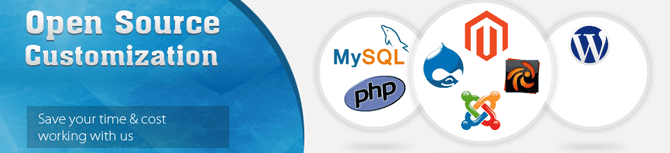 OpenSource Software Development Company USA