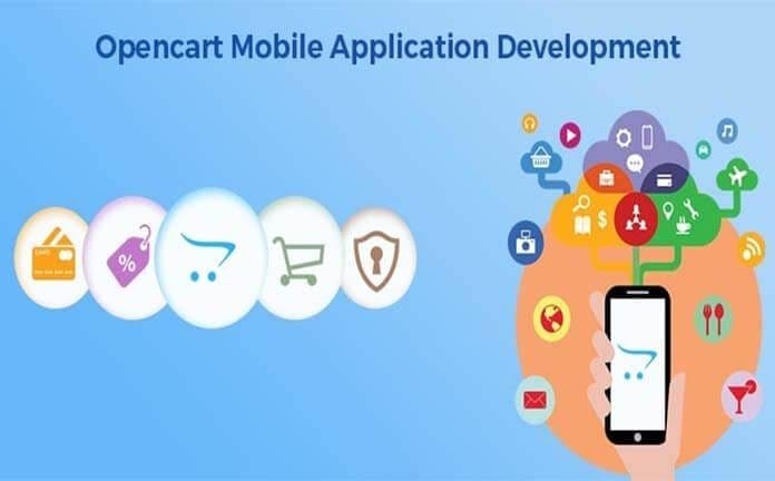 Professional OpenCart Services